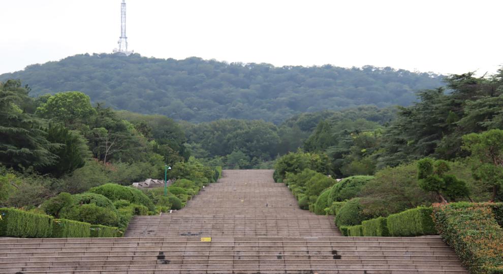 青柏如海慰忠魂，蜀山永志铭深恩——东北林业大学文法学院“皖中赤心寻红小队”开展暑期“三下乡”社会实践活动