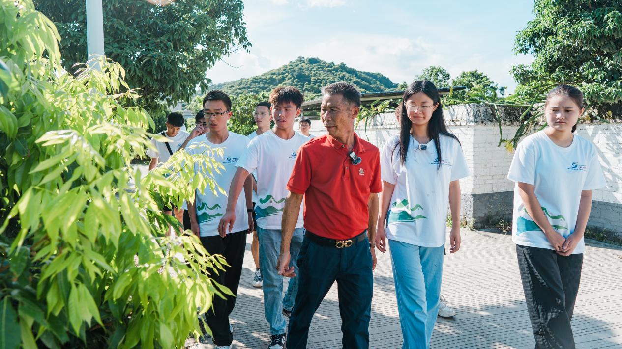 民宿荔共富|民宿电商齐头并进，荔枝产业引领共富新篇章 ——老张的新时代致富路