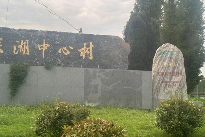 淮师学子三下乡：聚焦百村支书，耕耘与希望的振兴之路——以文化为魂，振兴乡