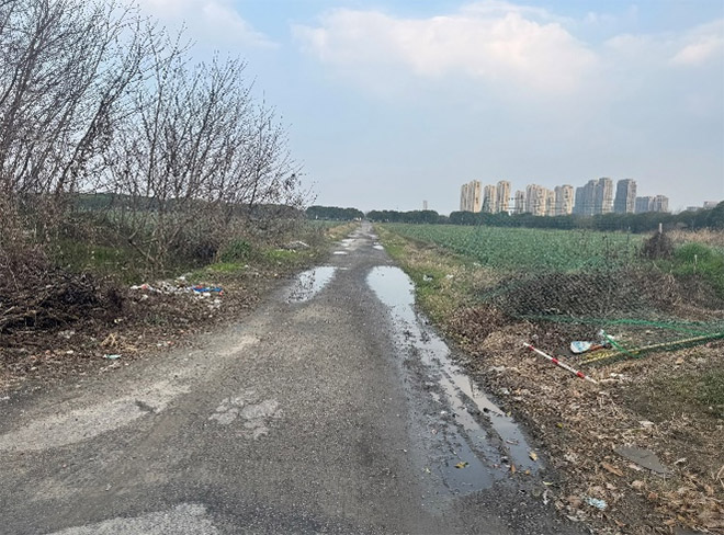 浙江财经大学青年调研团：用脚步丈量农村公路，为乡村振兴铺就“交通末梢”