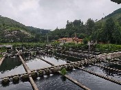 山东大学（威海）纤智未来调研团赴淄博市淄川区太河镇江源水产养殖场开展调研
