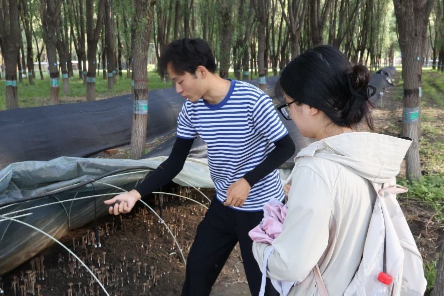 青言绿意绘生态，慈心实践探芦村