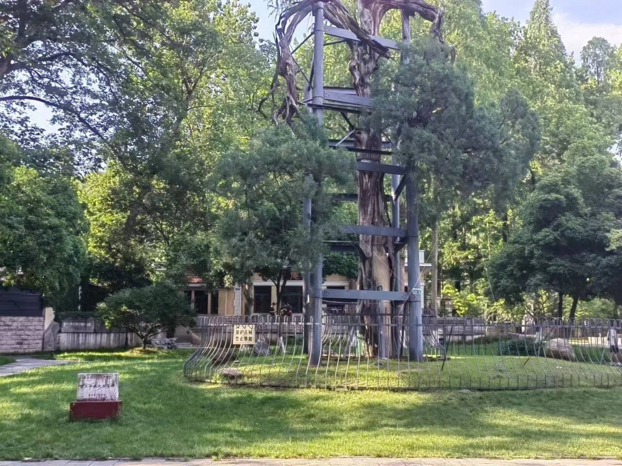 百年梅庵悟初心 青春奋进担使命 —— 东南大学学子开展梅庵学习实践活动