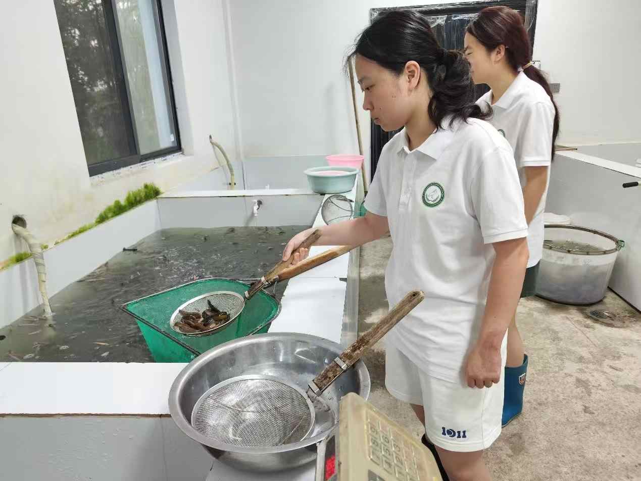 “践生态理念，护南方朱鹮”大学生社会实践团前往湖州市德清县进行朱鹮日常饲养学习