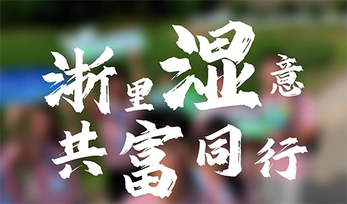 青春力量“潮”向湿地共富！公管学子奔赴青山绿水，解码生态富民新路径