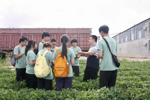 农学院“赤帜领航兴荣邑，青衿聚力富农乡”实践服务团赴虎山镇进行实践调