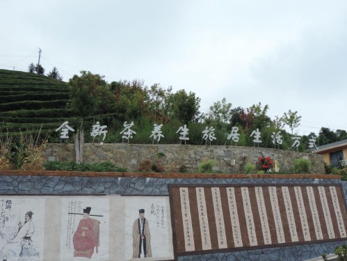 水田坝乡茶旅新村：茶旅融合绘就乡村振兴新画卷