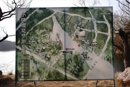 记忆图景测绘组开展故乡公共空间变迁 考察寒假社会实践活动