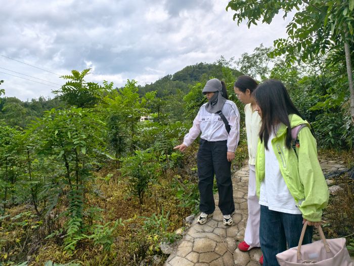 凤山“林药双兴”实践：一棵“苦药材”熬出富民“甜产业” ——佳宏种苗公