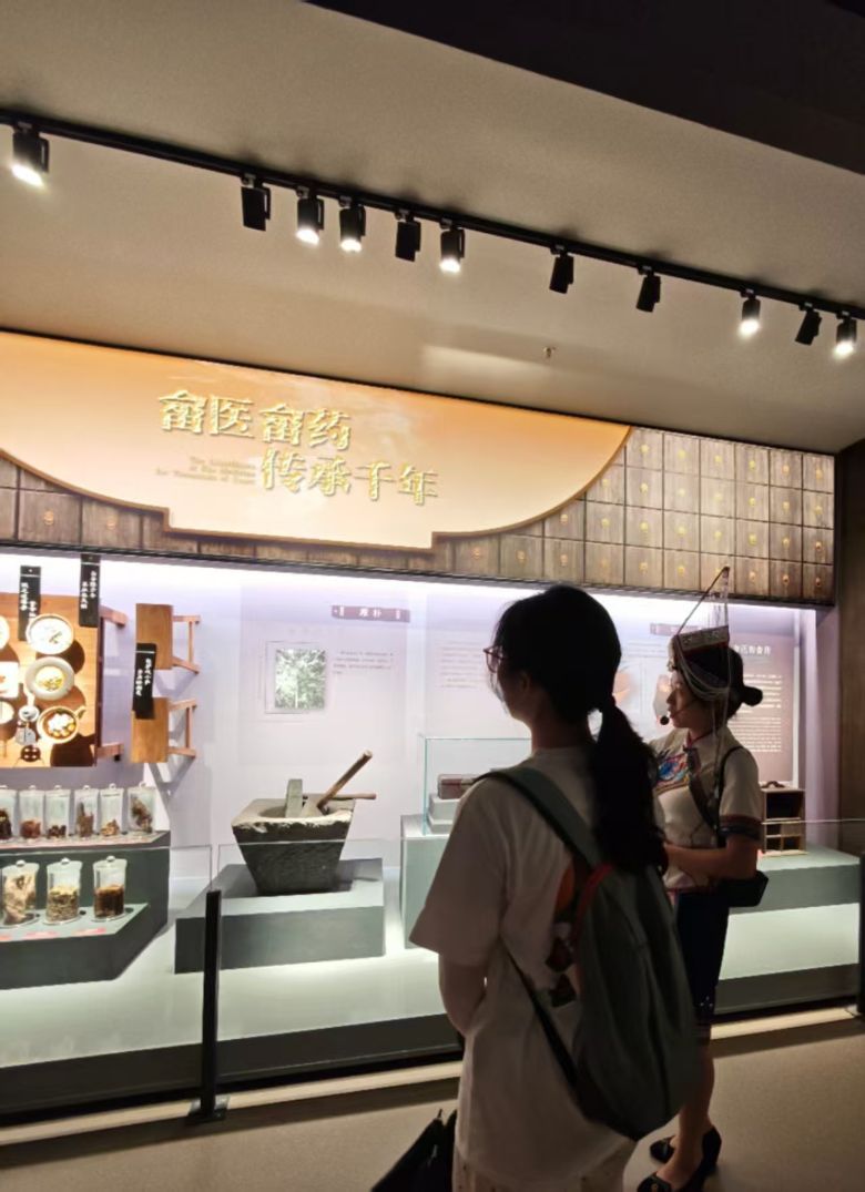 一馆藏千年：“青囊畲韵”实践队解锁畲族文化密码