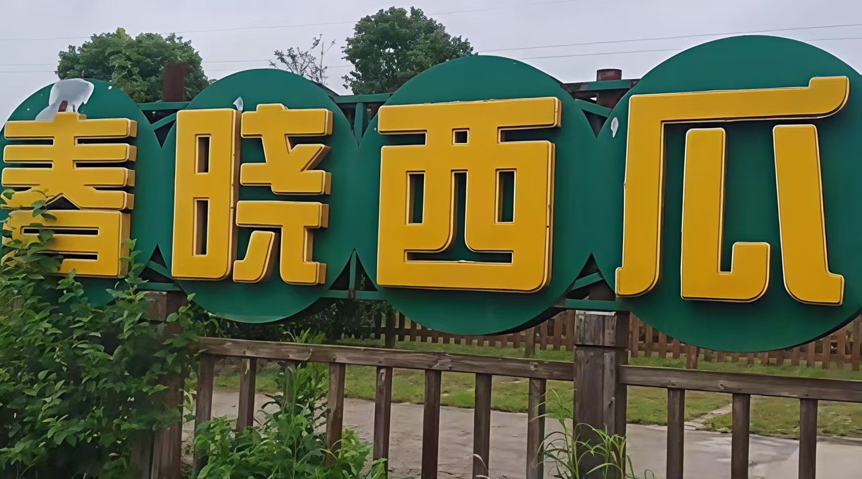 青春践初心 乡行悟振兴——赴芜湖湾沚区六郎镇永和村开展乡情民情考察实践