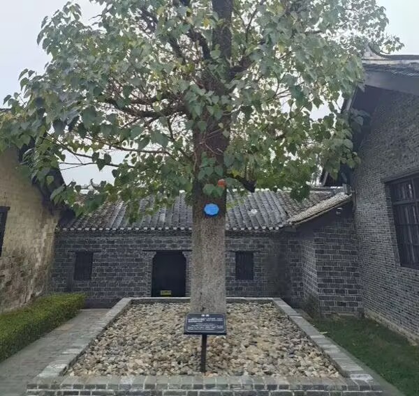 赓续红色血脉：淮师实践团队探访张治中故居传承爱国精神