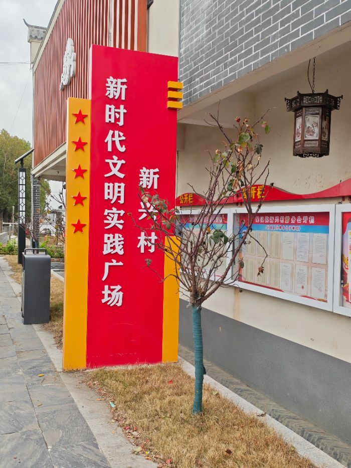 淮师学子返家乡实践：走进新兴村便民服务中心，感悟基层治理新担当