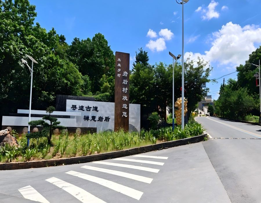 浙江曹宅镇岩后村：枇杷产业“金钥匙”开启共富新篇章
