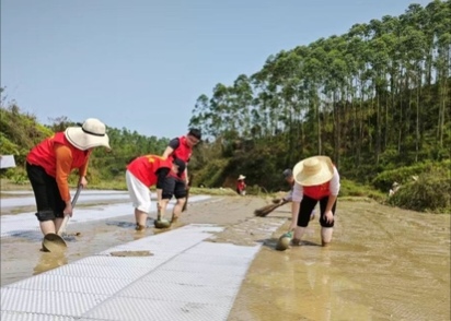 青春脚步丈量农土 调研绘就农技新篇