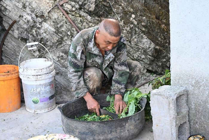 重外学子三下乡|青年步履踏贫土，善意微光聚暖途