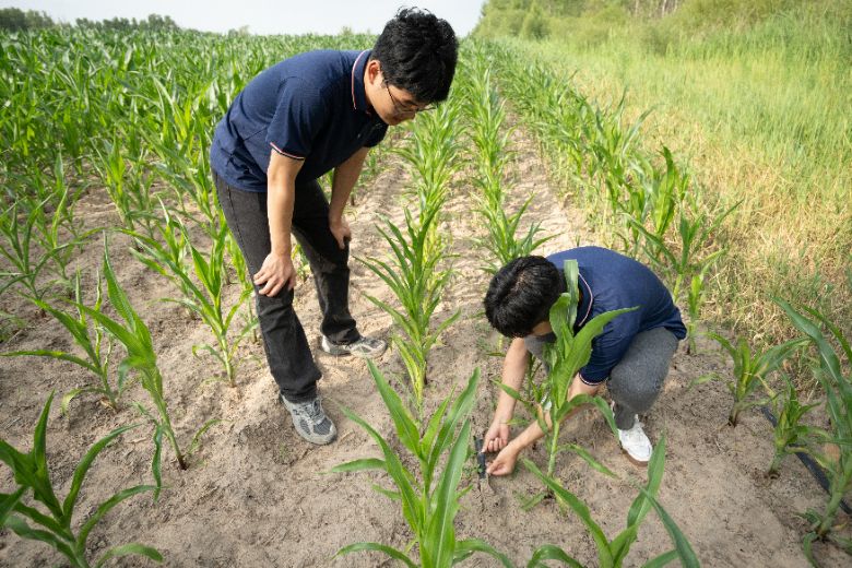 中国石油大学（华东）石油工程学院科左后旗碧野兴乡实践队：聚力生态振兴 守护绿色家园