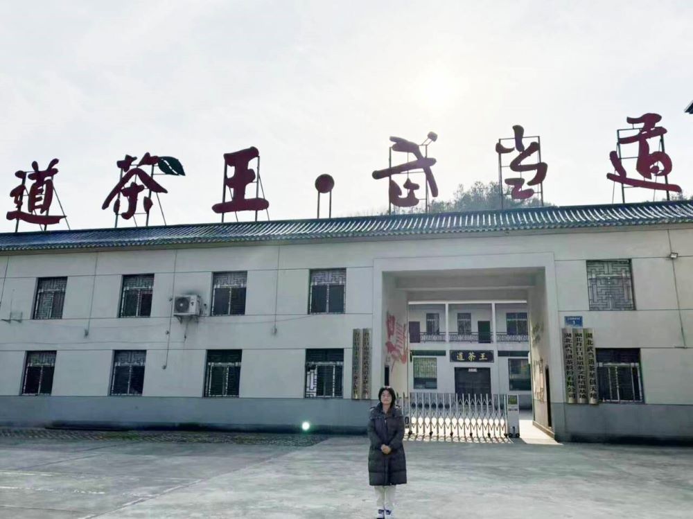 土关垭镇茶叶产业：以融合之笔，绘就茶香新画卷