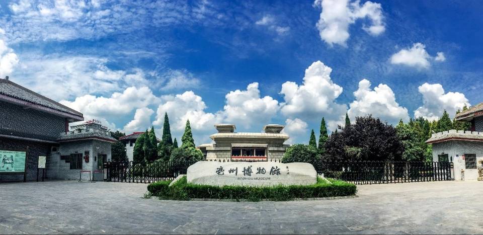 淮师学子三下乡∶深耕亳州沃土，云聚红迹铸新篇
