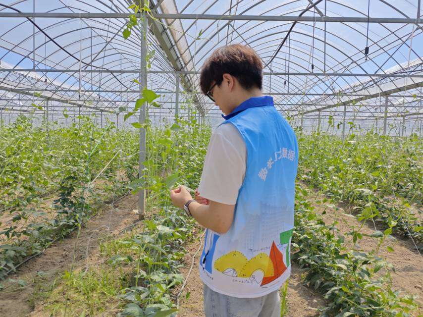 巢湖学院调研团深入同大镇 探索智慧农业新路径