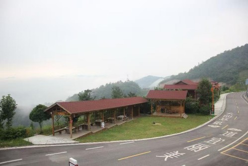    从茶园到景区：秭归茶旅融合打造乡村振兴“新引擎”