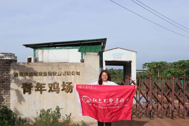 政企携手绘振兴画卷 澄迈海津益佳牧业探索乡村治理新路径