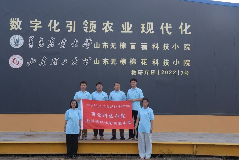 青苗涌动沿黄地，农科青春探苜途——青岛农业大学实践团踏访科技小院，共绘