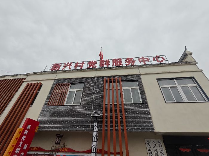 青春归巢知乡情 躬身实践察民情——返乡大学生赴无为市新兴村开展乡情民情考察活动