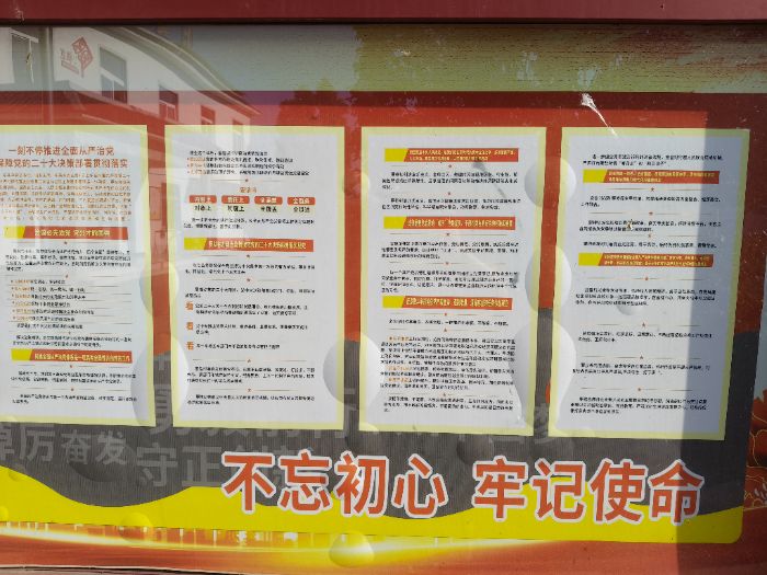青春助力乡村振兴：淮北师范大学学子三下乡探访村委会，解码基层治理密码