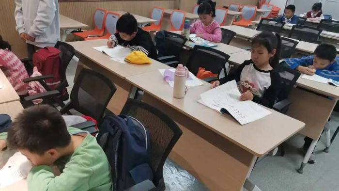 校园志愿力量持续发力：山东大学学生春晖社“童心挥艺彩，连区文载情”甸柳社区志愿服务周期性总结