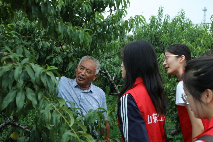 山东理工大学管理学院循“蒙”而行实践团赴临沂市平邑县康泰果品种植专
