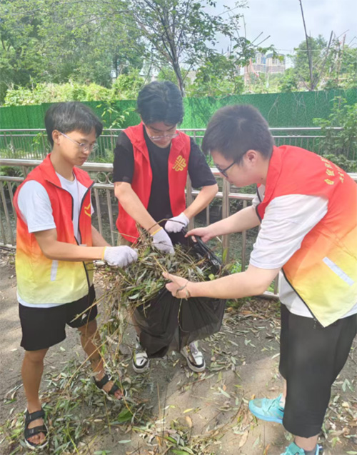 乡情暖桑榆：青春志愿行助力同仁村“老有所安”