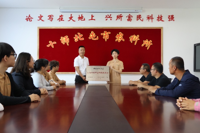 图8