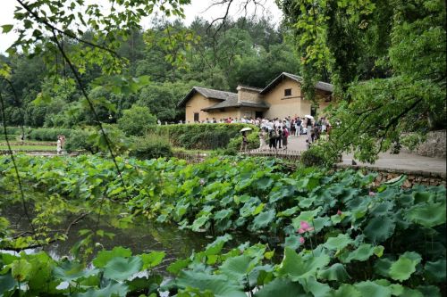 湘潭大学机械工程与力学学院赴响塘镇社会实践团文化调研系列活动纪实