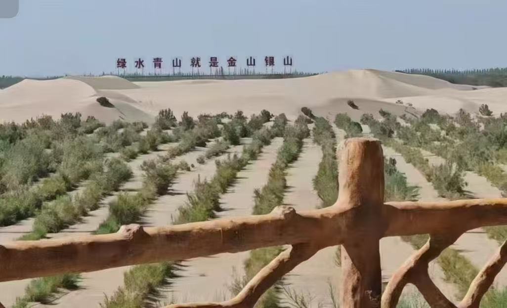 青春力量扎根边疆 沙海织绿共谱新篇