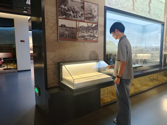 淮师学子三下乡：走进合肥小井庄，探寻改革与振兴脉络