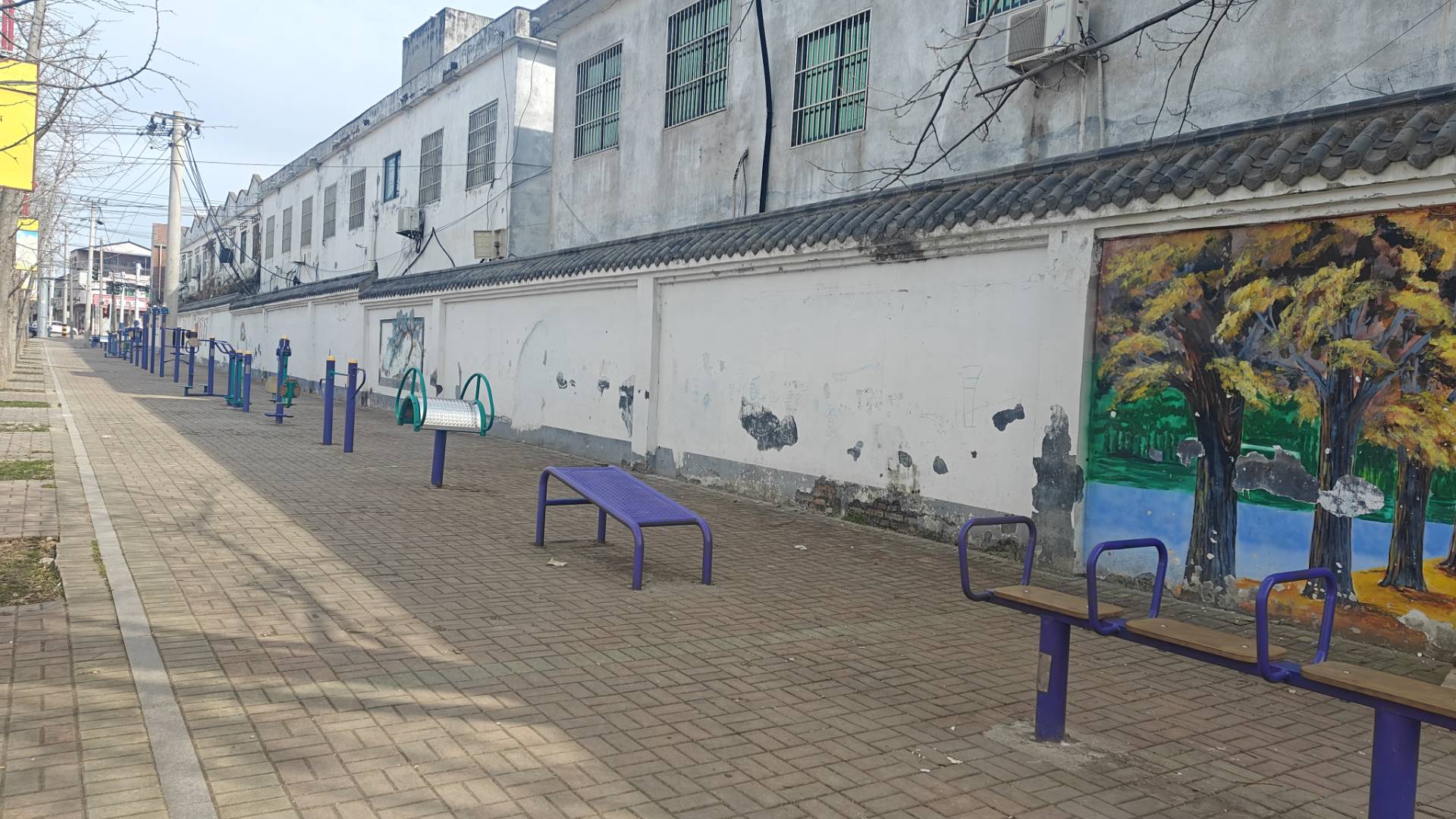 乡约青春助振兴 实干笃行建家乡