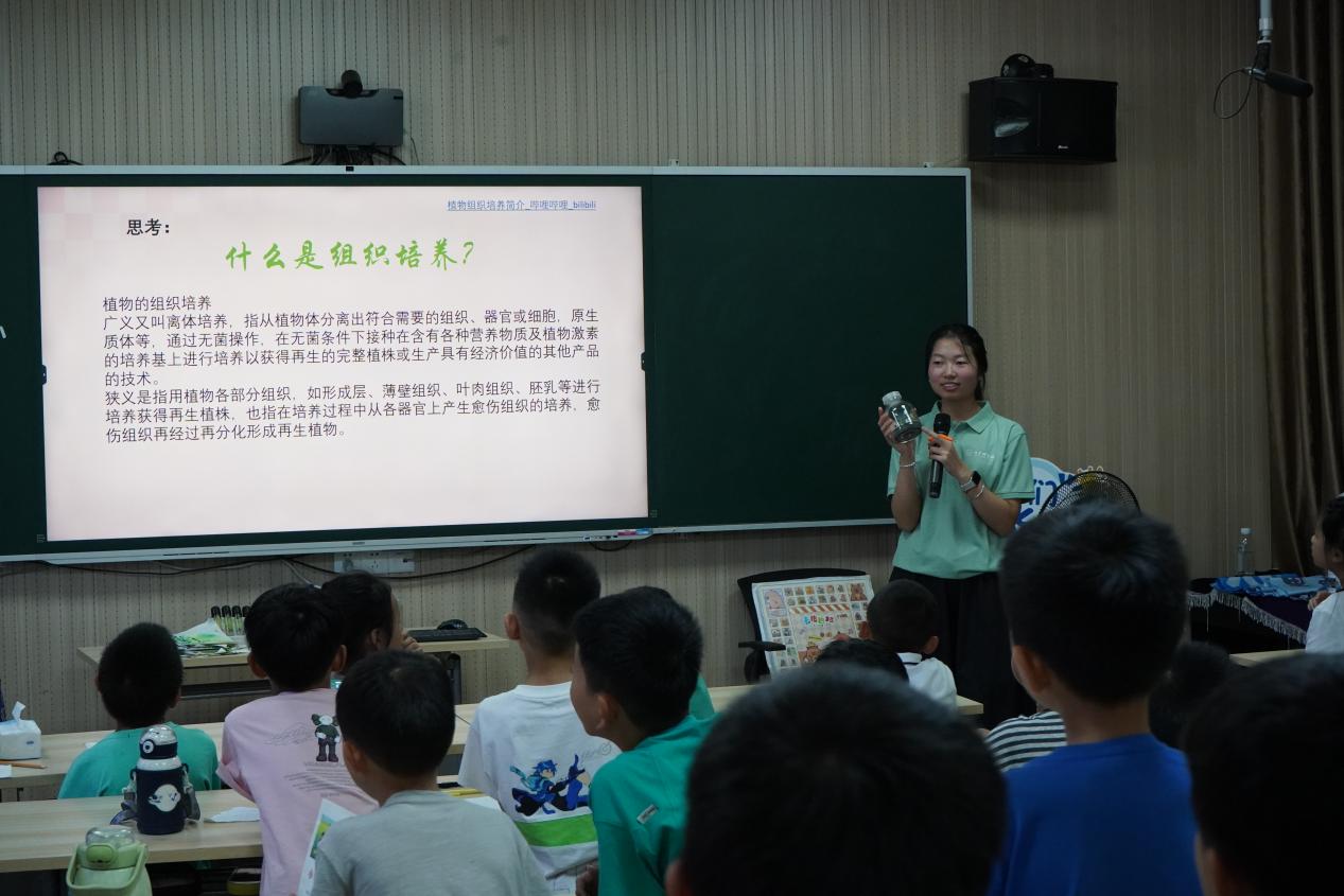 解码“竹之问”：浙农林竹研院“竹育未来 青春桐行”实践团深耕乡村课堂开启生物育种科技