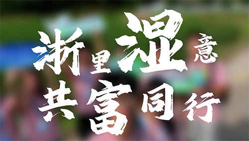 公管学子杭城湿地行，探索湿地如何绘就生态惠民画卷,铺展绿水青山共富新图景