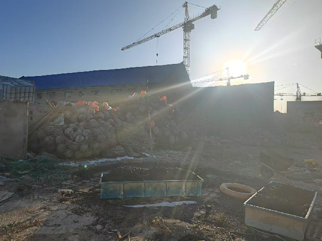 山东大学“纤智未来”调研团：以科技之力，守护蓝色海洋
