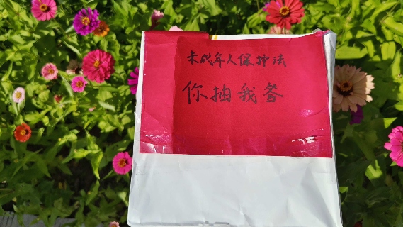 淮师大学子三下乡实践纪实：涓涓细流普法声入耳，蜿蜒小道携法踏村途