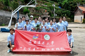 “农旅换新，育苗筑梦”实践队采摘荔枝