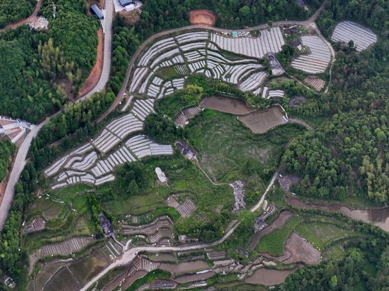 高山生态赋能团走进泰顺：以企带村，“肥田兴蔬”共富乡村（二）