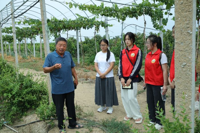 山东理工大学管理学院循“蒙”而行实践团调研平邑县金岭家庭农场——探索乡村振兴路径