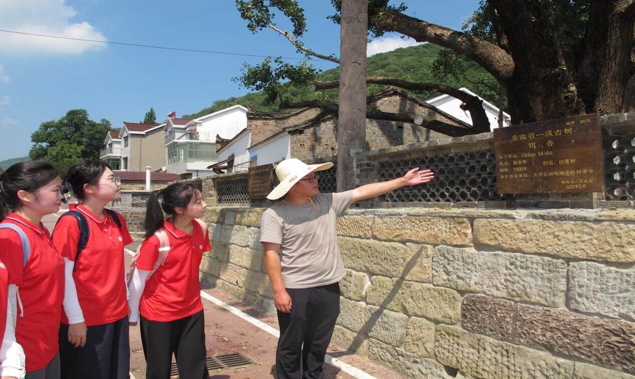 古树保护+普法宣讲：大学生为绿色乡村建设注入法治力量