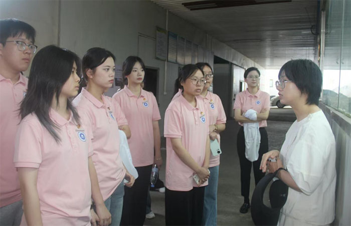 探秘菇菇农场：一场与自然共生的实践课堂