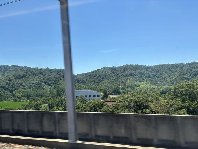 安徽六安大桥畔村：生态蝶变绘就乡村新图景