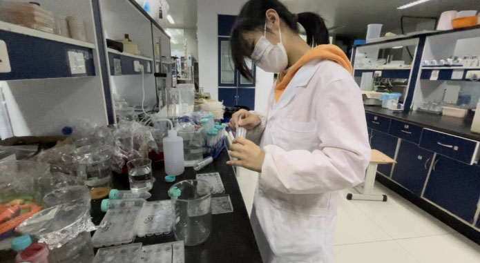 山东大学（威海）“菌子之胶”科研实践活动团队完成水凝胶的实验室实验制备工作