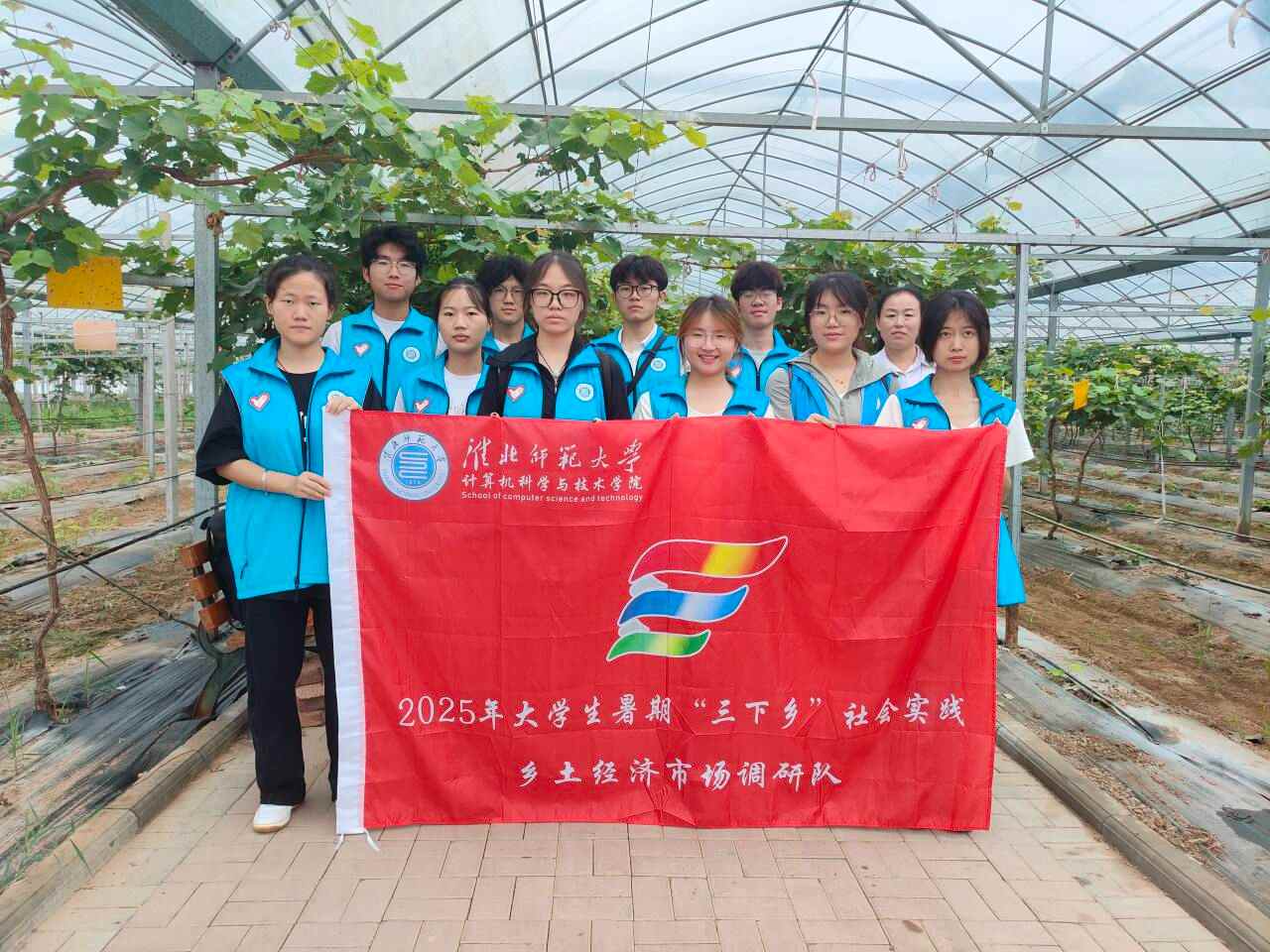 淮师学子“三下乡”：葡萄架下探寻乡村经济新脉动