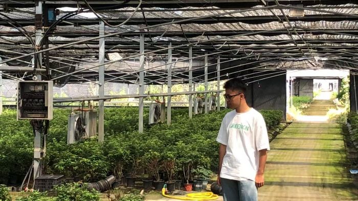 聚焦合作社社员参与困境：红色引擎调研团赴宿迁可力园林绿化公司探寻破局之道